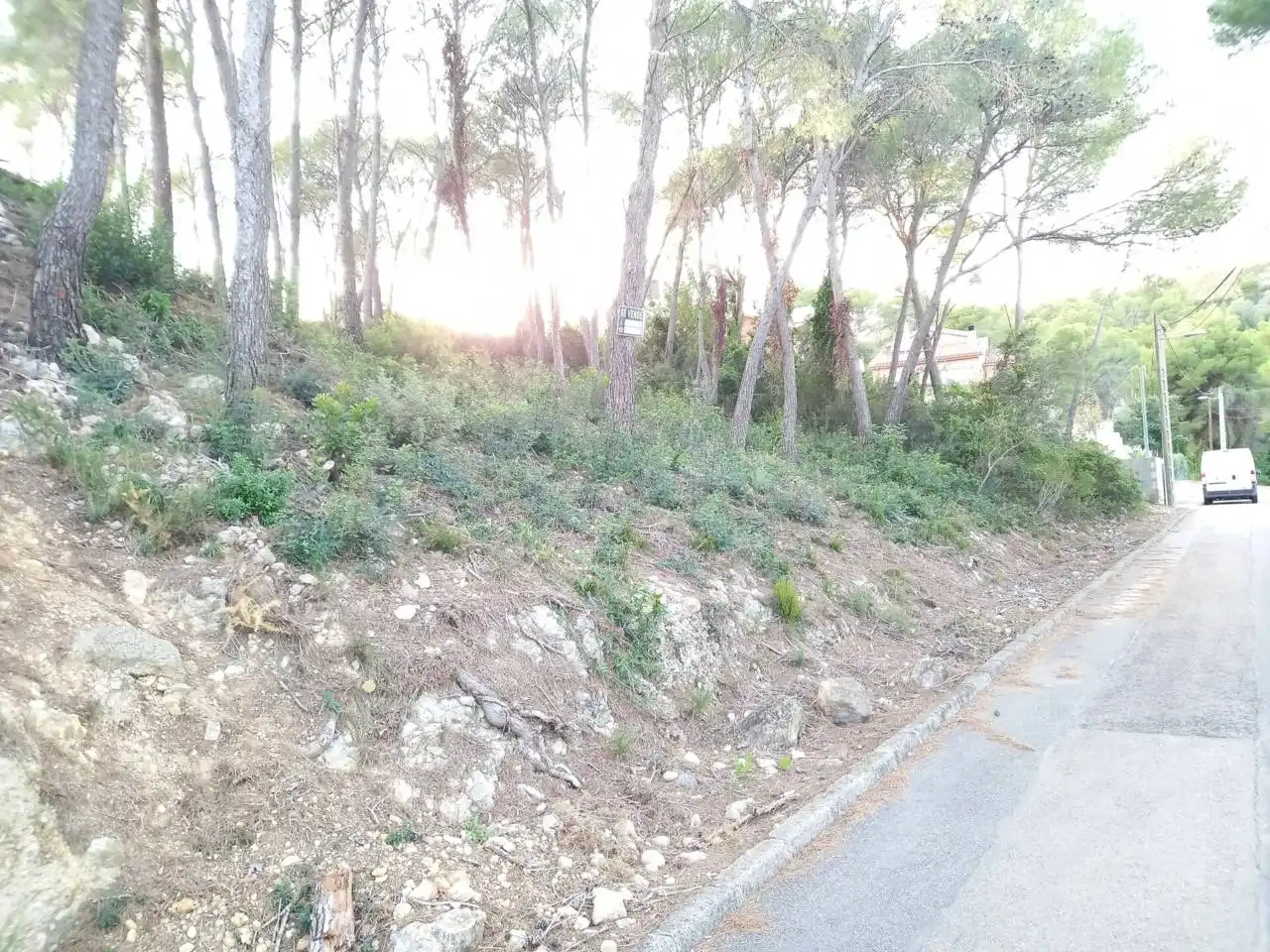 Terrain rustique à vendre à Calle joan miró 61, imagen 2