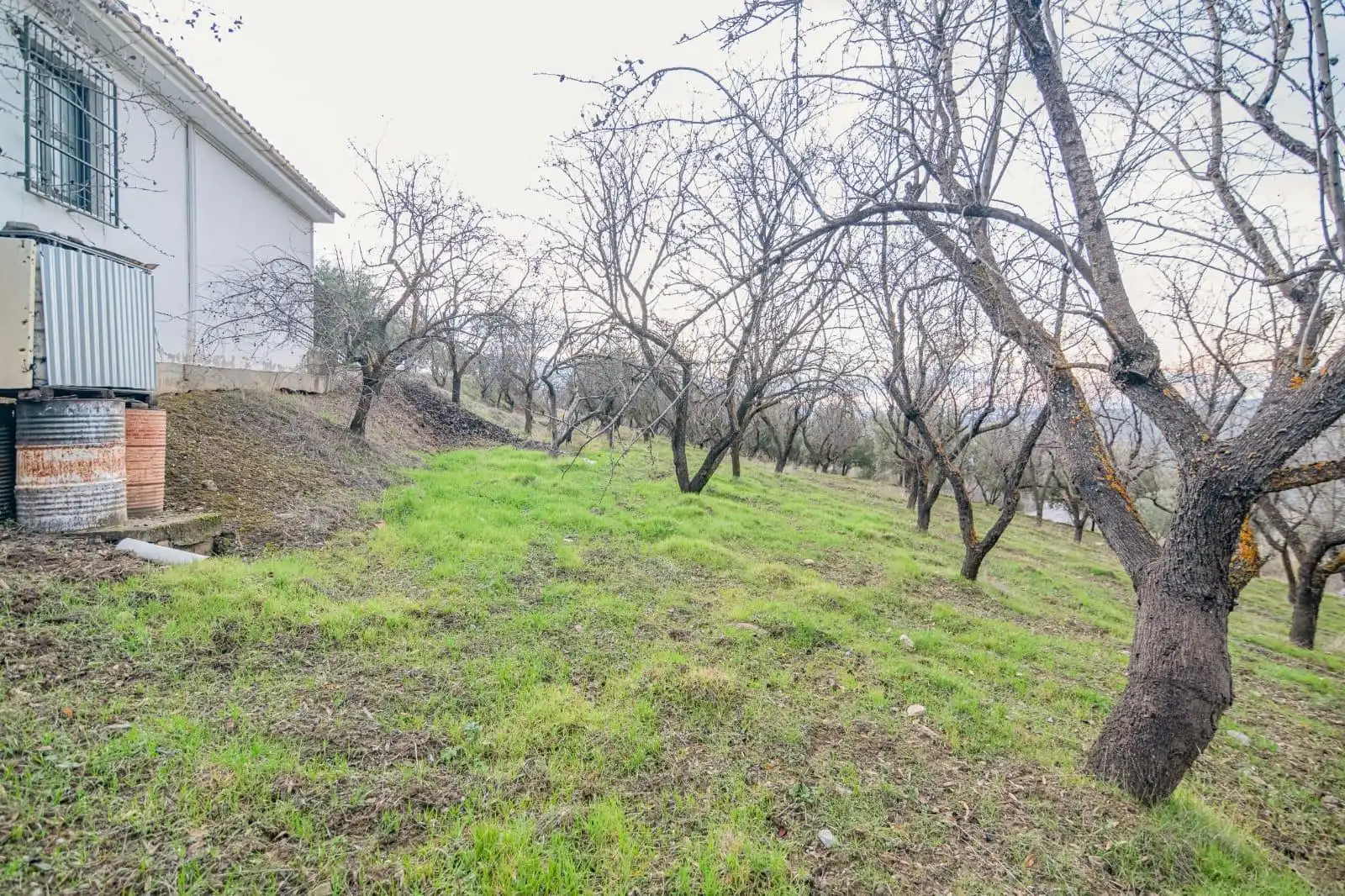 Lands and plots for sale in Autovia Pinos Genil, imagen 4