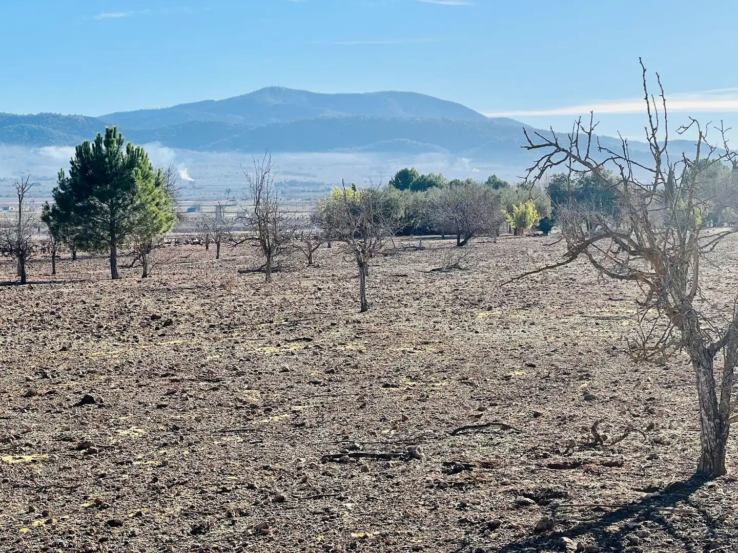 Terreny residencial en venda a Cañada, imagen 12