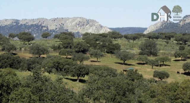 Terreno residencial en Venta en Torrejón el Rubio