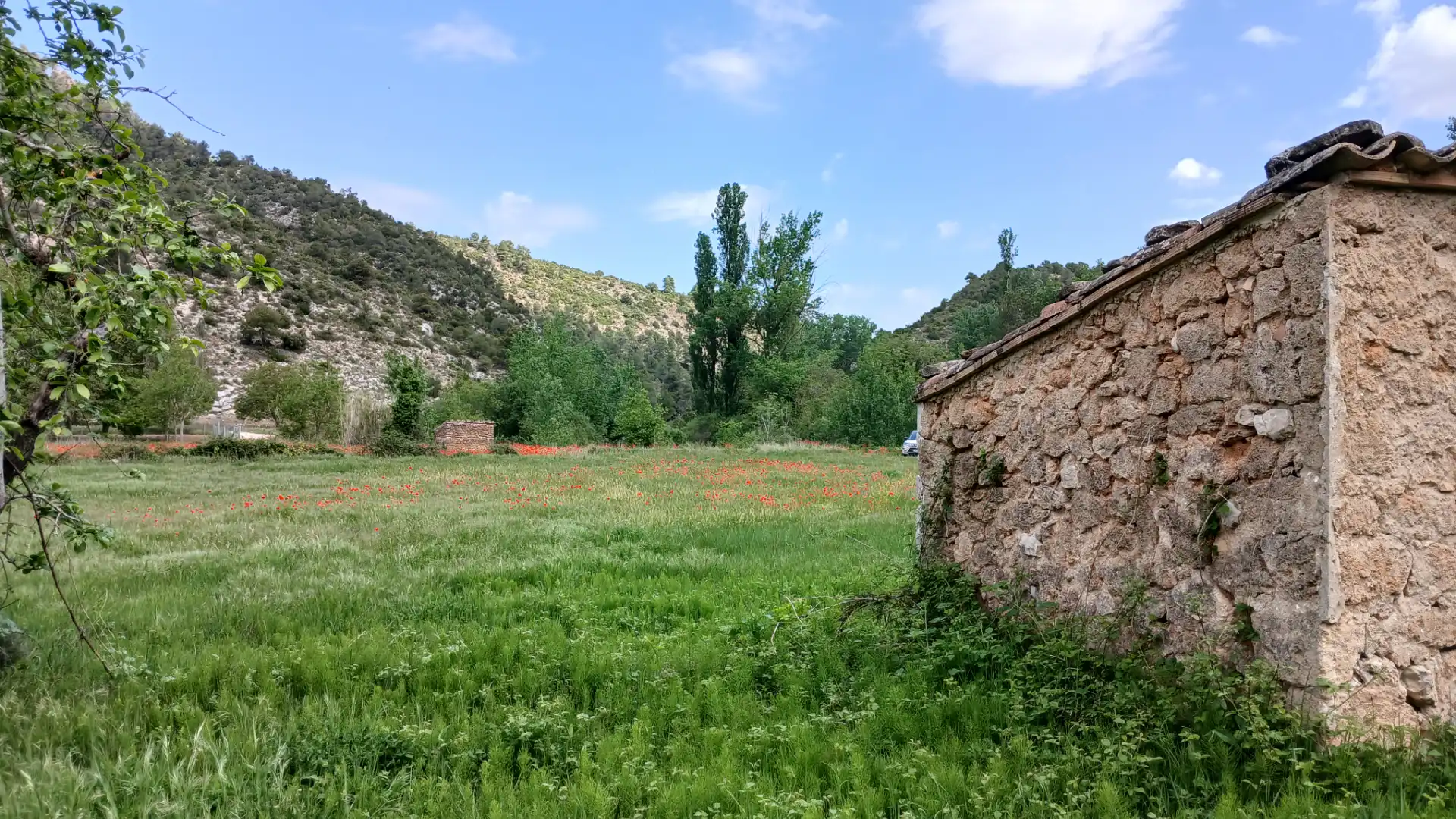Land for sale in Beceite