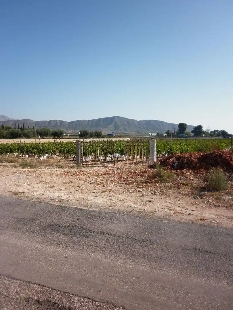 Rural land for sale in Novelda, imagen 5