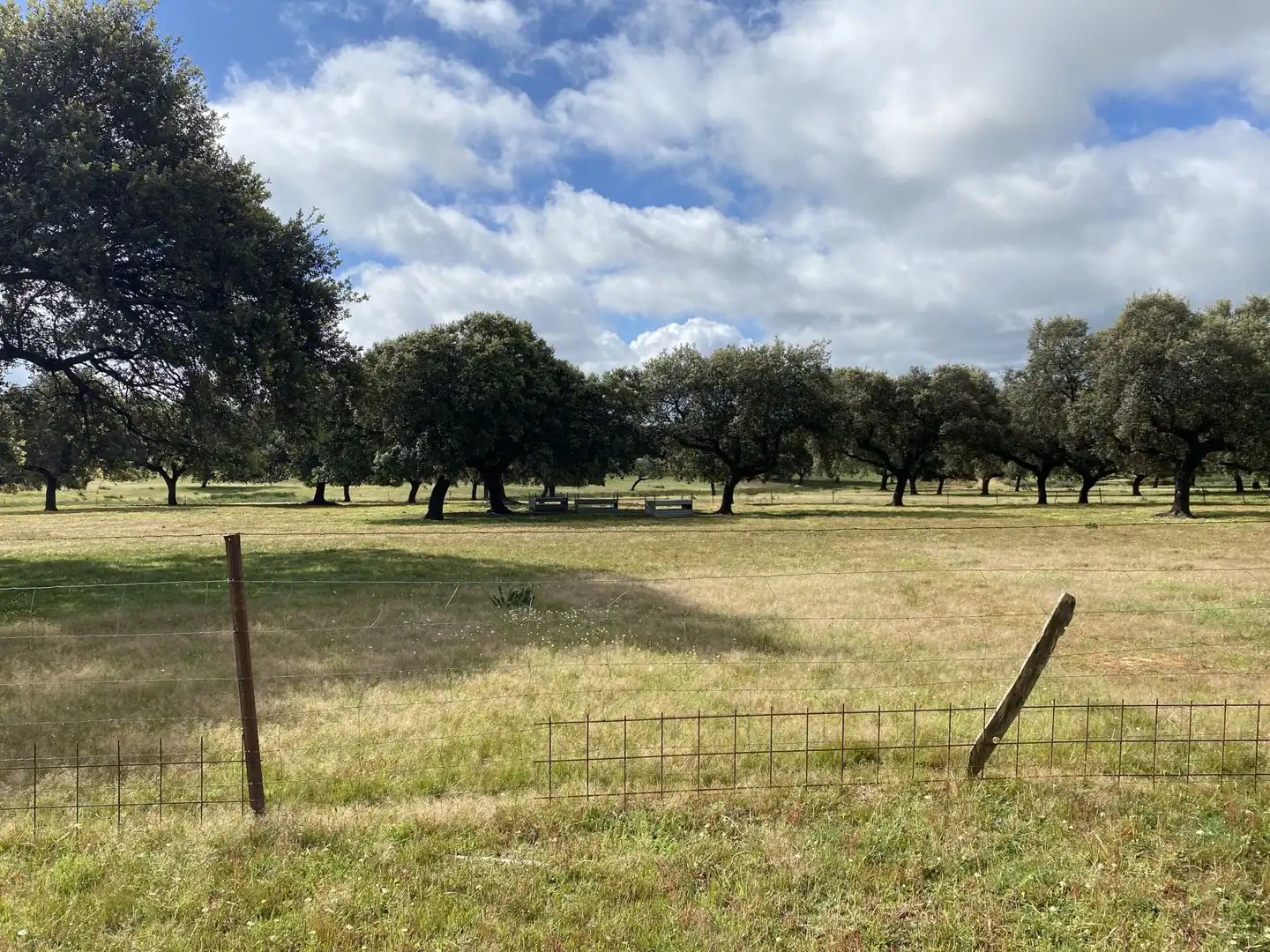 Terreno en venta en Deleitosa