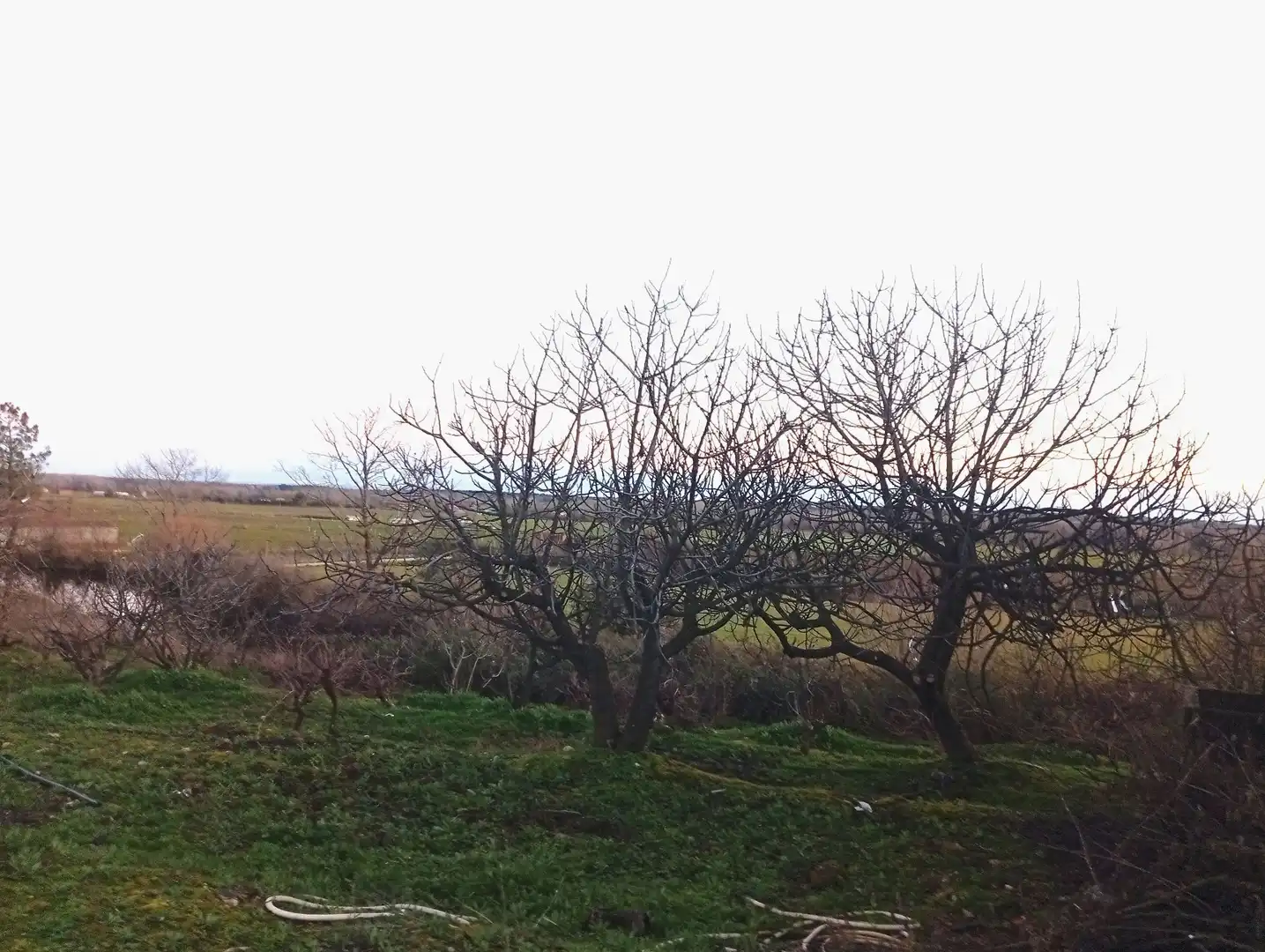Land for sale in Losar de la Vera