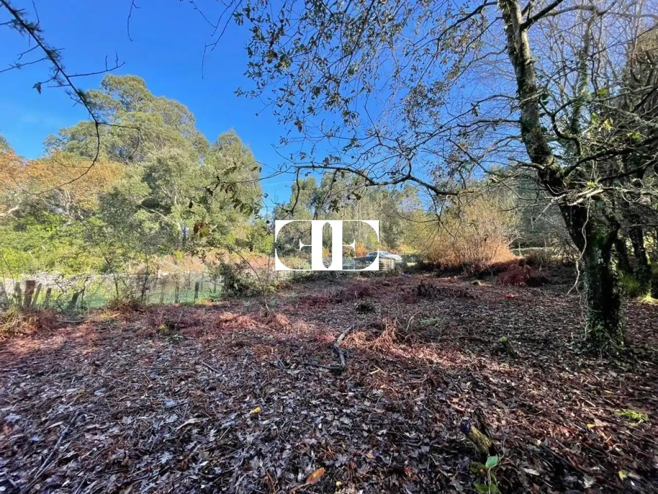 Terreno rustico in vendita a Poligono 15 Parcela 363 Jardin Oia, imagen 2