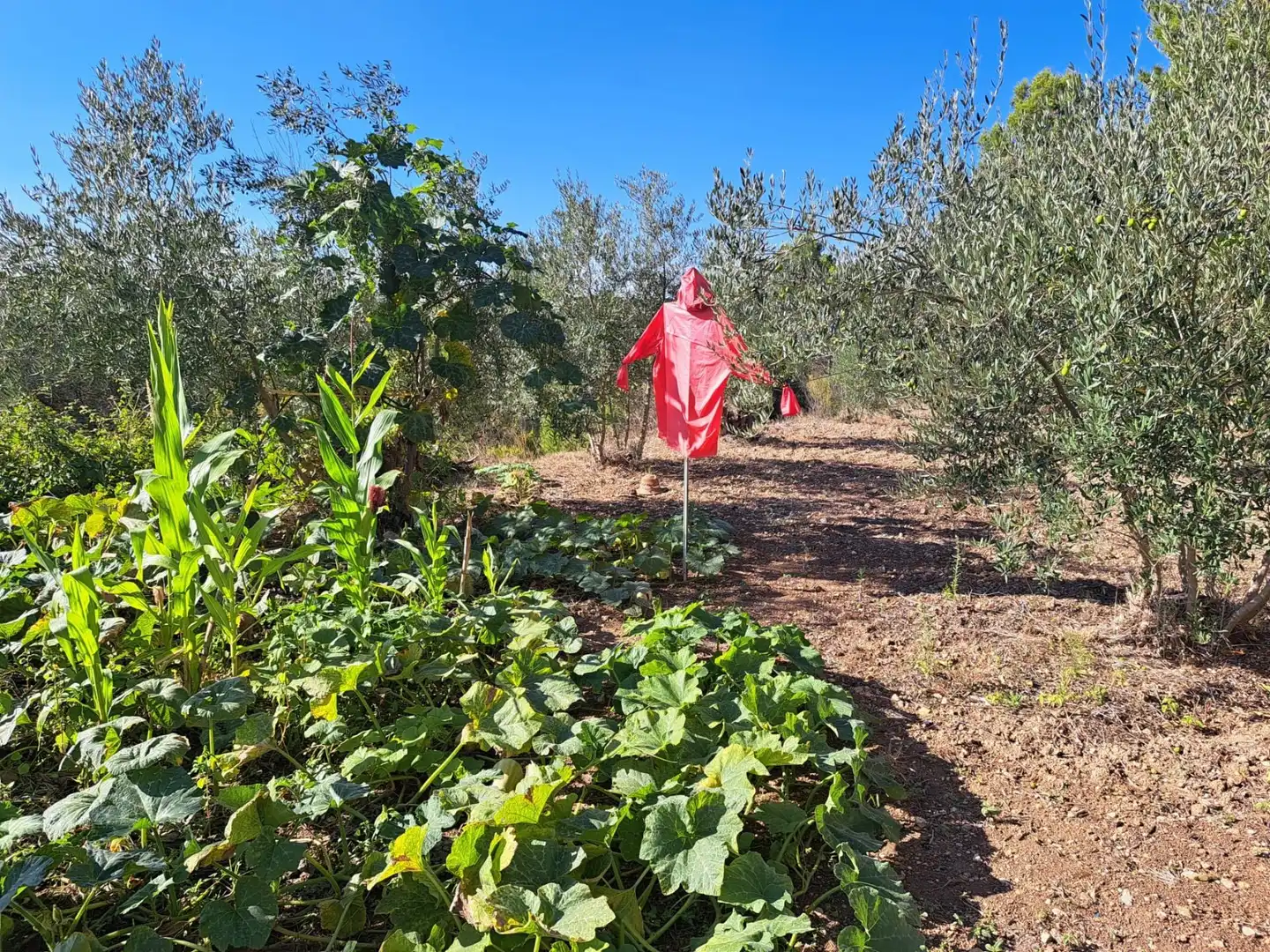 Casa o chalet en venta en Aldea Viñuelas, Cortes de Pallás