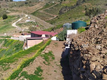 Terreno rustico in vendita a Diseminado el Pago Morche 2257