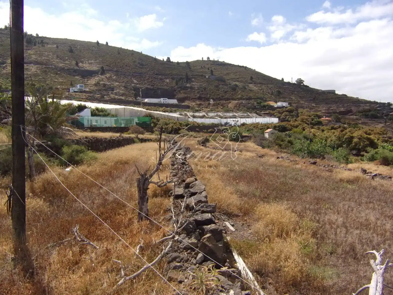 Finca rústica en venta en Tijarafe