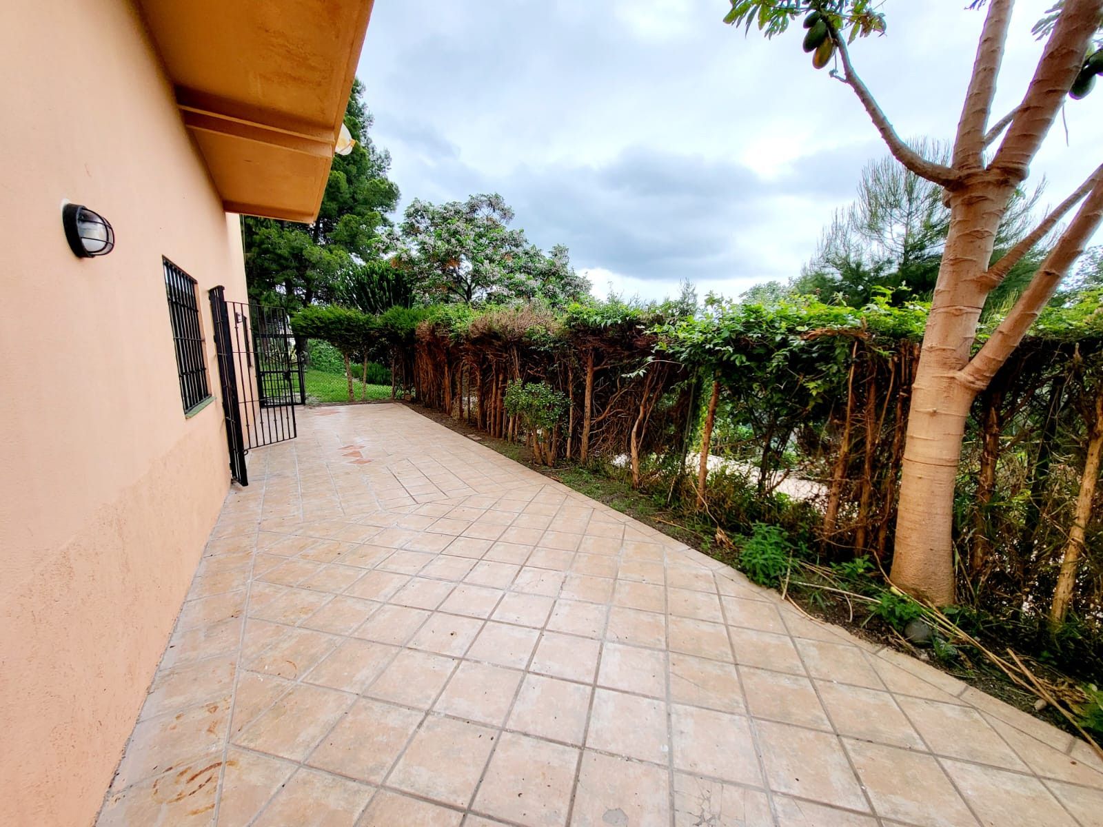 Terrassa de Planta baixa en venda en Estepona amb Terrassa, Piscina i Piscina comunitària