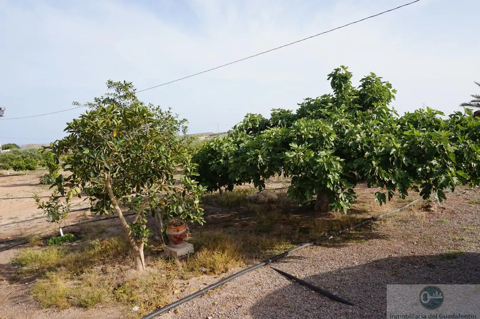 Villa avec piscine à vendre à Calarreona, imagen 11