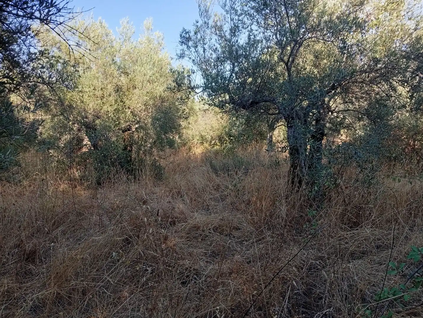 Terreni e lotti in vendita a Villanueva de la Vera, imagen 14