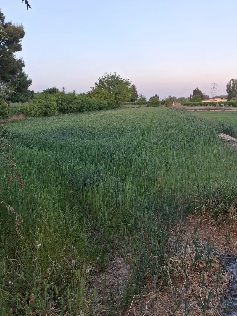Casa o xalet en venda en Lleida amb Calefacció