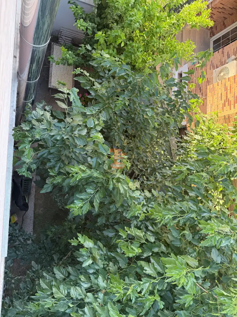 Garden of Houses for sale in Zaragoza  with Air Conditioner, Heating and Private garden