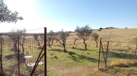 Foto 5 de Casa o chalet en venta en Valdesalor - Rincón de Ballesteros, Cáceres Capital