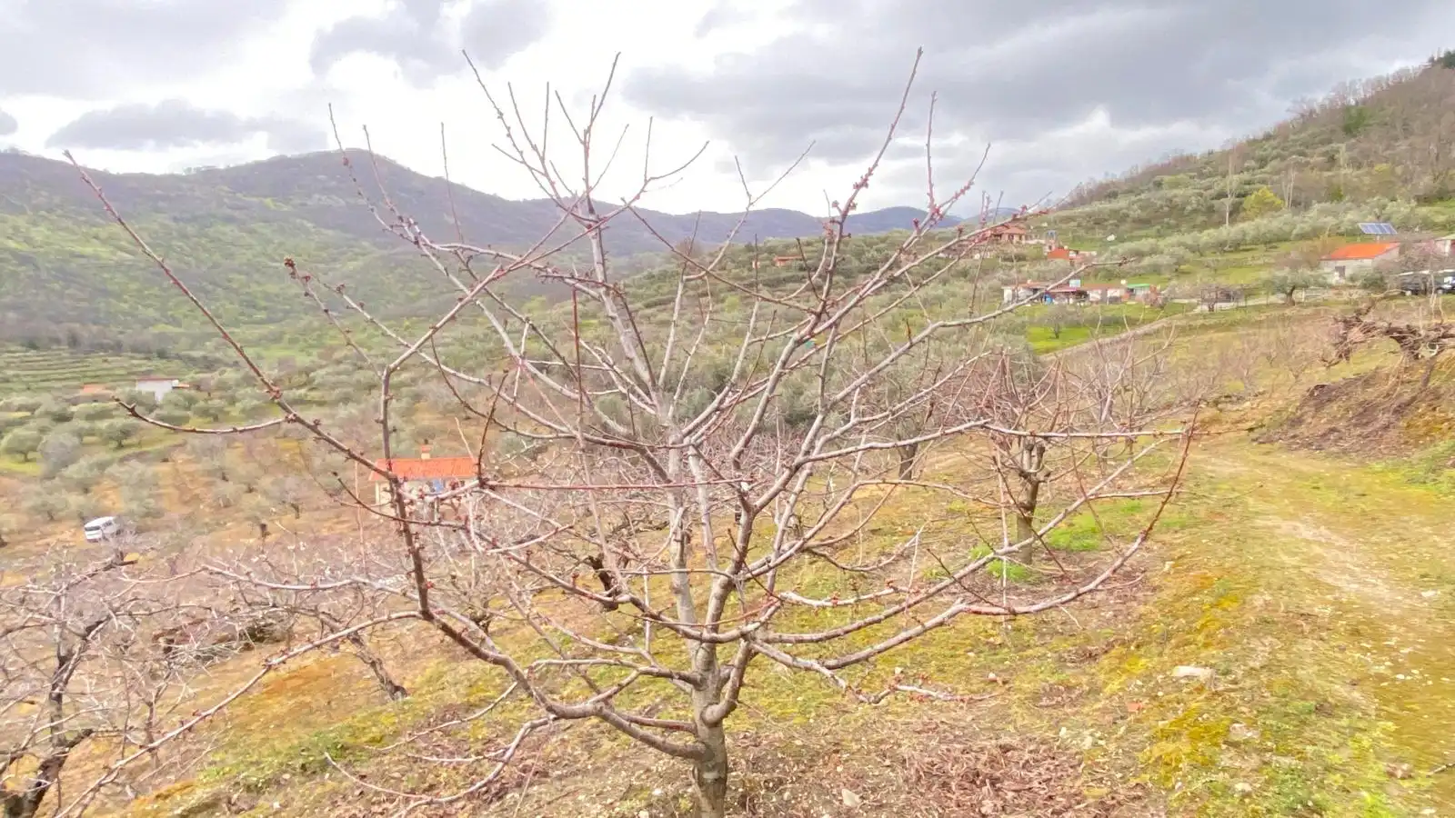 Terreni e lotti in vendita a Hervás, imagen 2