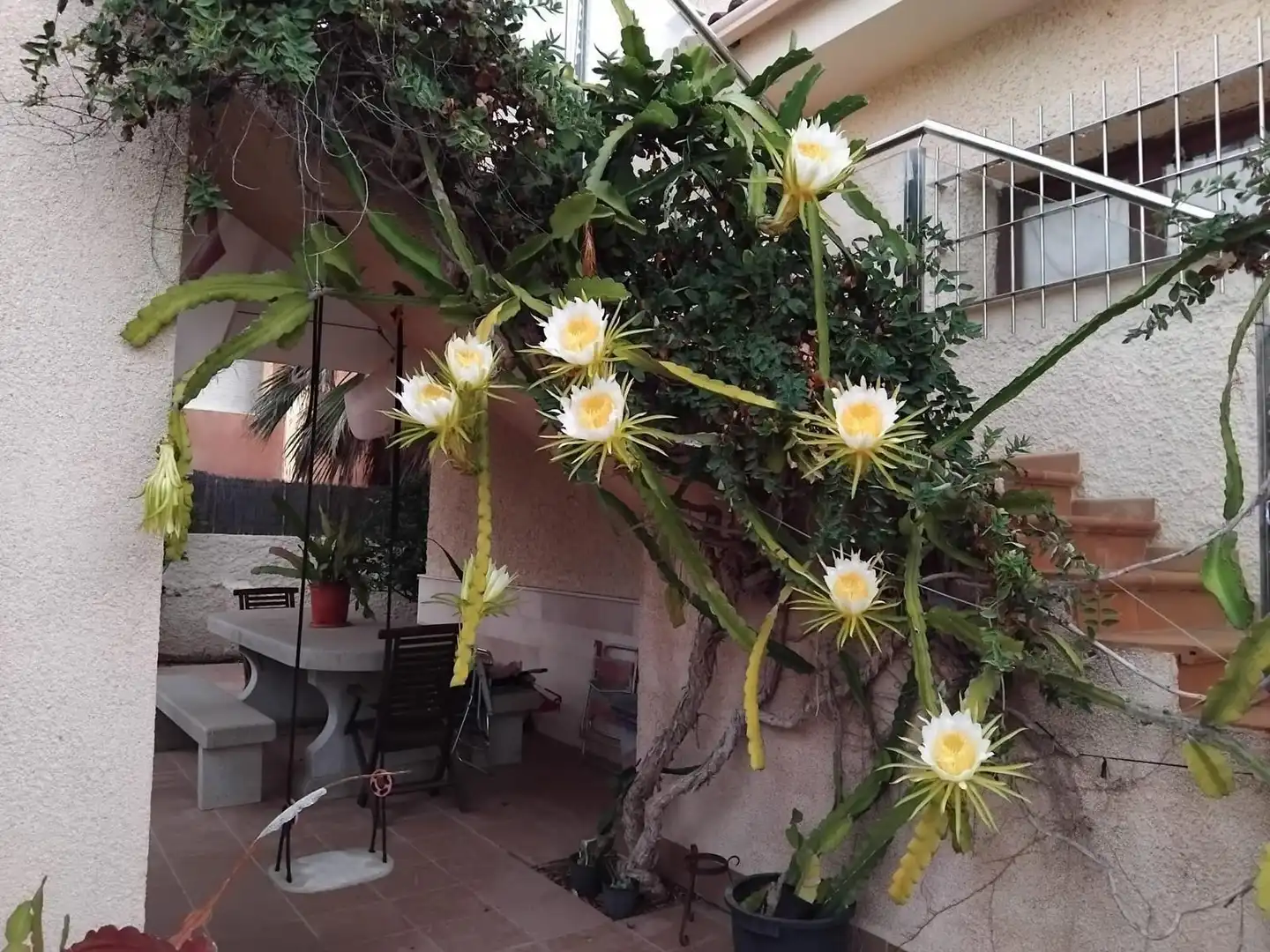 Casa o xalet en venda a Entremares