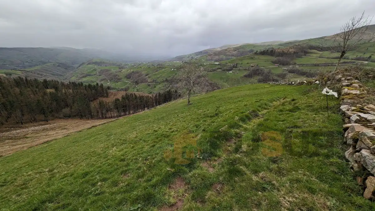 Finca rústica en venta en Selaya