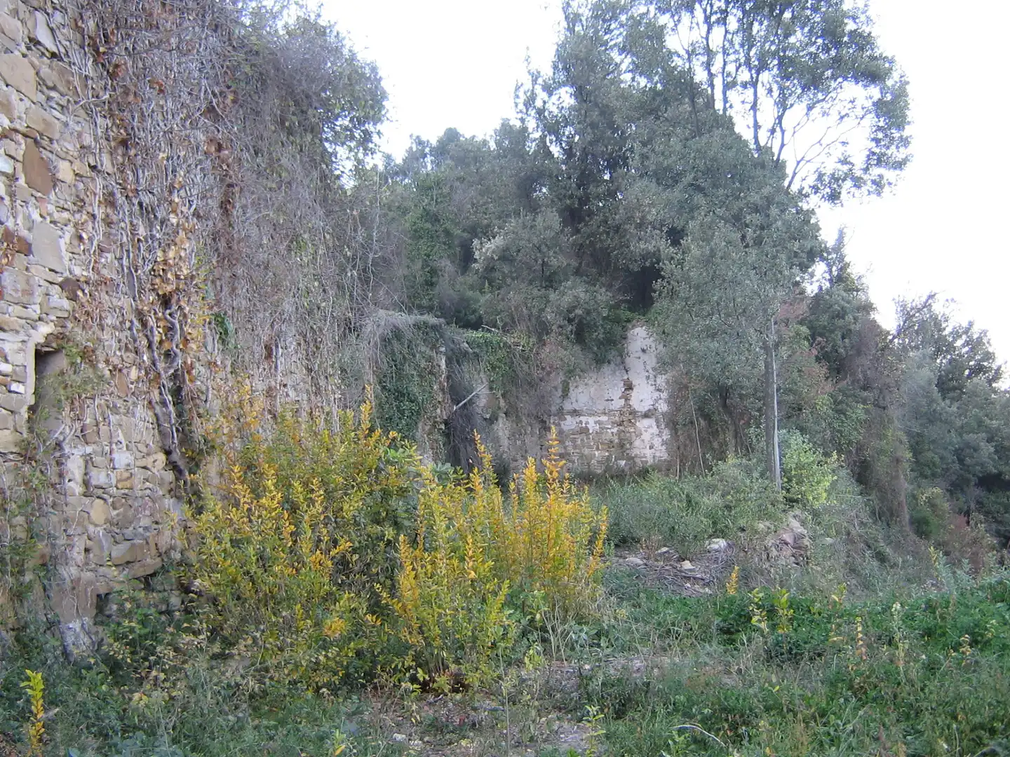 Rural land for sale in Montagut i Oix, imagen 9