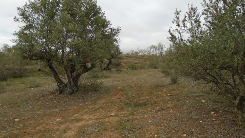 Residencial en venta en Quer