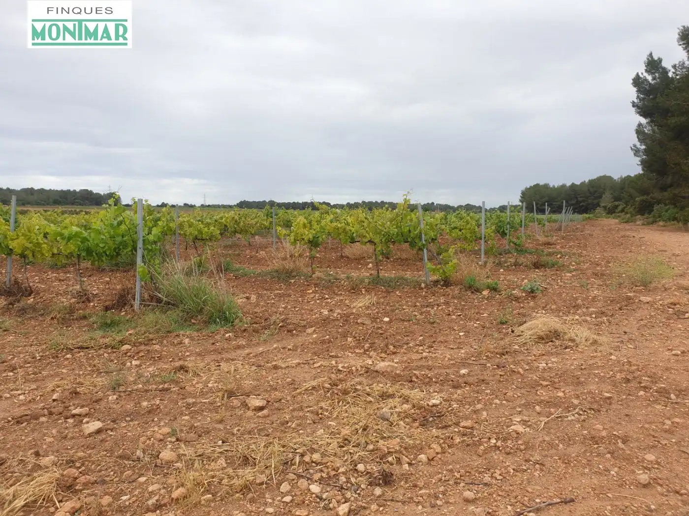 Finca rústica en venda en El Pla de Santa Maria