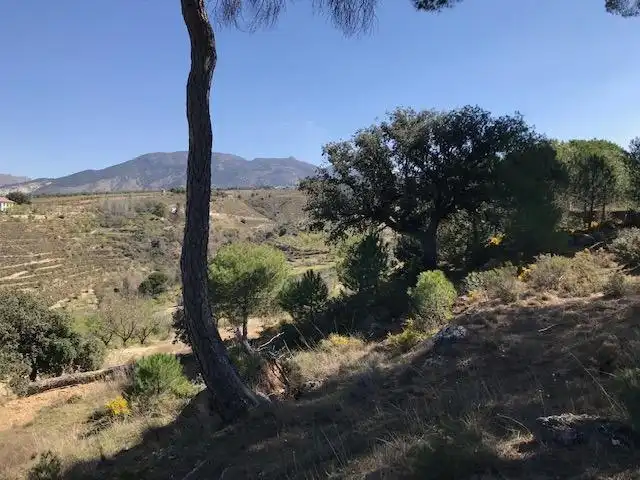 Grundstücke zum Verkauf in La Zubia