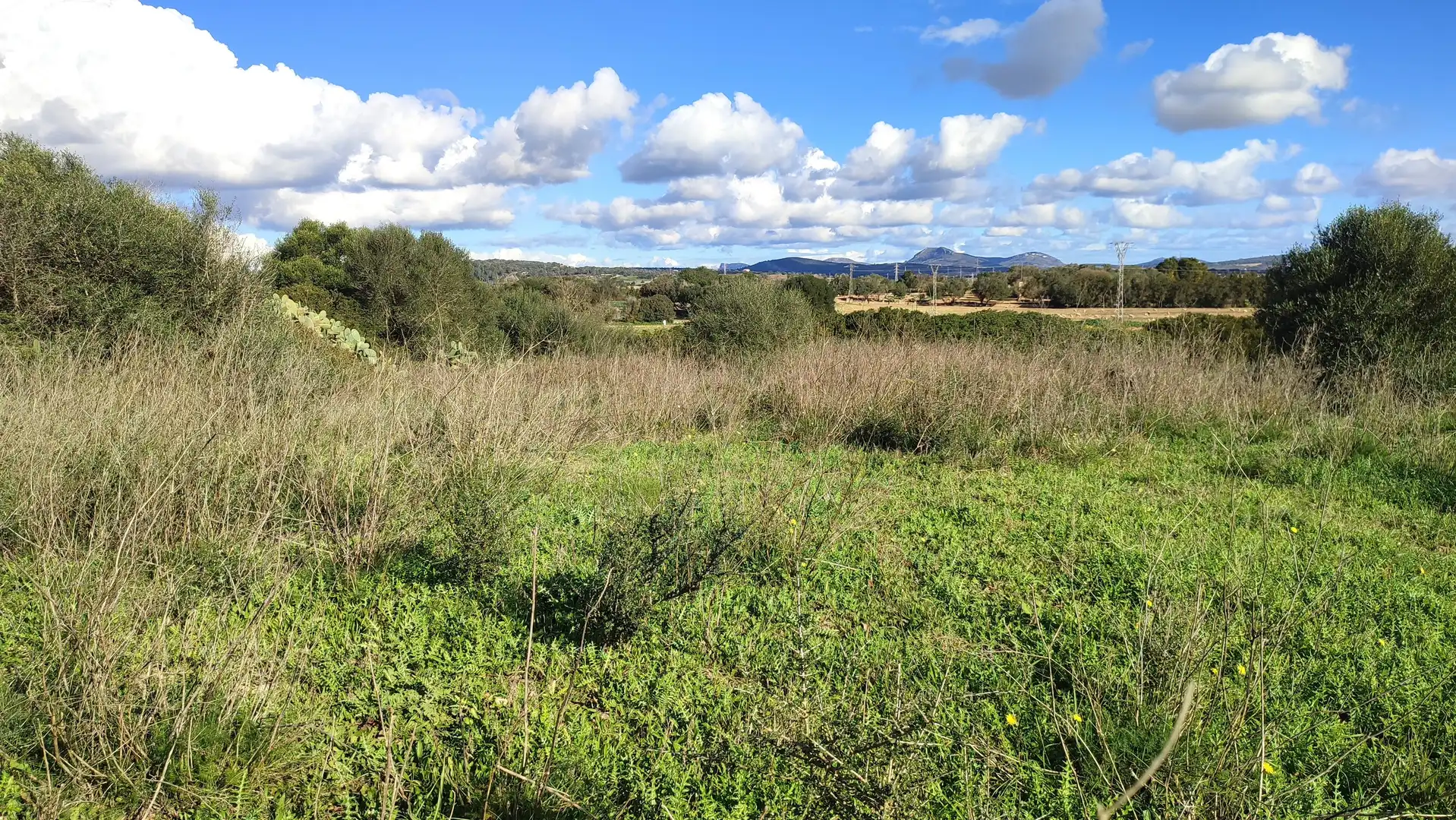 Rural land for sale in Diseminado Cdte Primero 3, imagen 8
