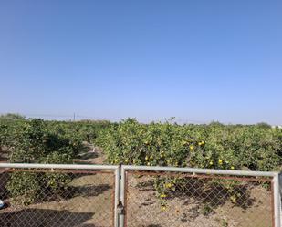 Terreny en venda en Guardamar del Segura