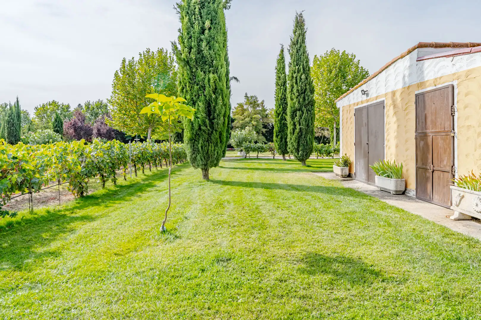 Jardín de Finca rústica en venta en Laguna de Duero con Aire acondicionado, Calefacción y Jardín privado