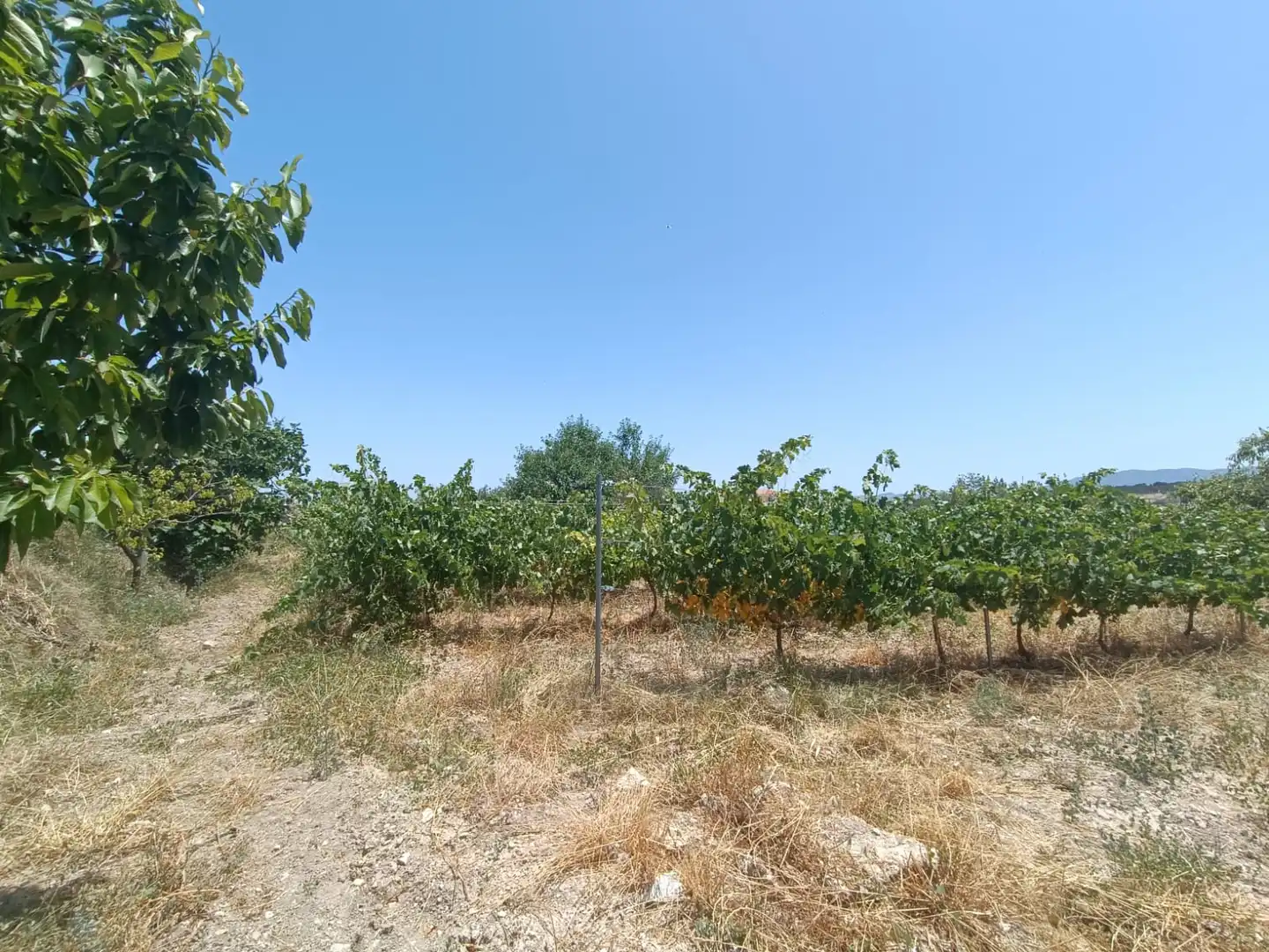 Finca rústica en venta en Vélez-Blanco con Aire acondicionado, Jardín privado y Terraza