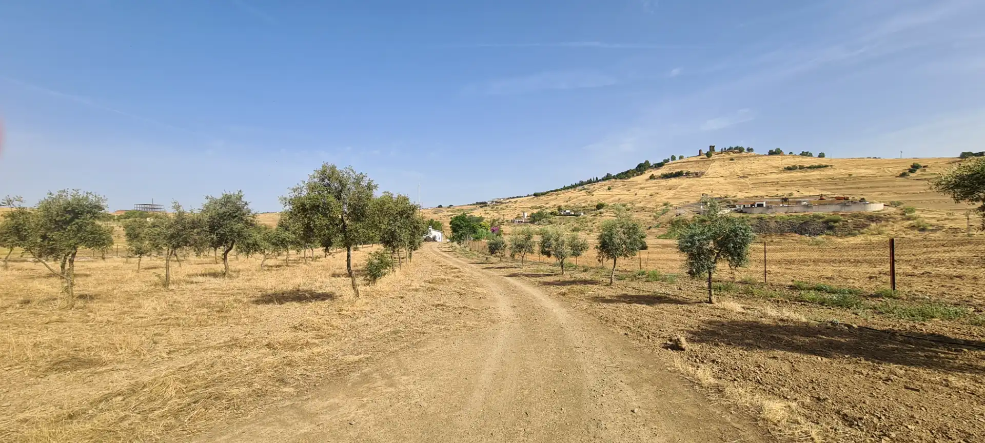 Terreni e lotti in vendita a Azuaga, imagen 14