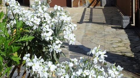 Foto 4 de Casa o xalet en venda a Cami de Cal Margarit, Castellví de la Marca, Barcelona