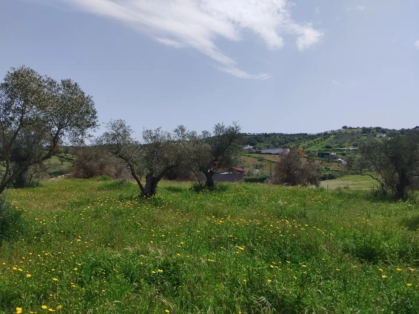 Terreno en venta en Oliva de la Frontera