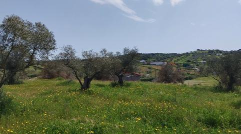 Photo 4 of Land for sale in Oliva de la Frontera, Badajoz