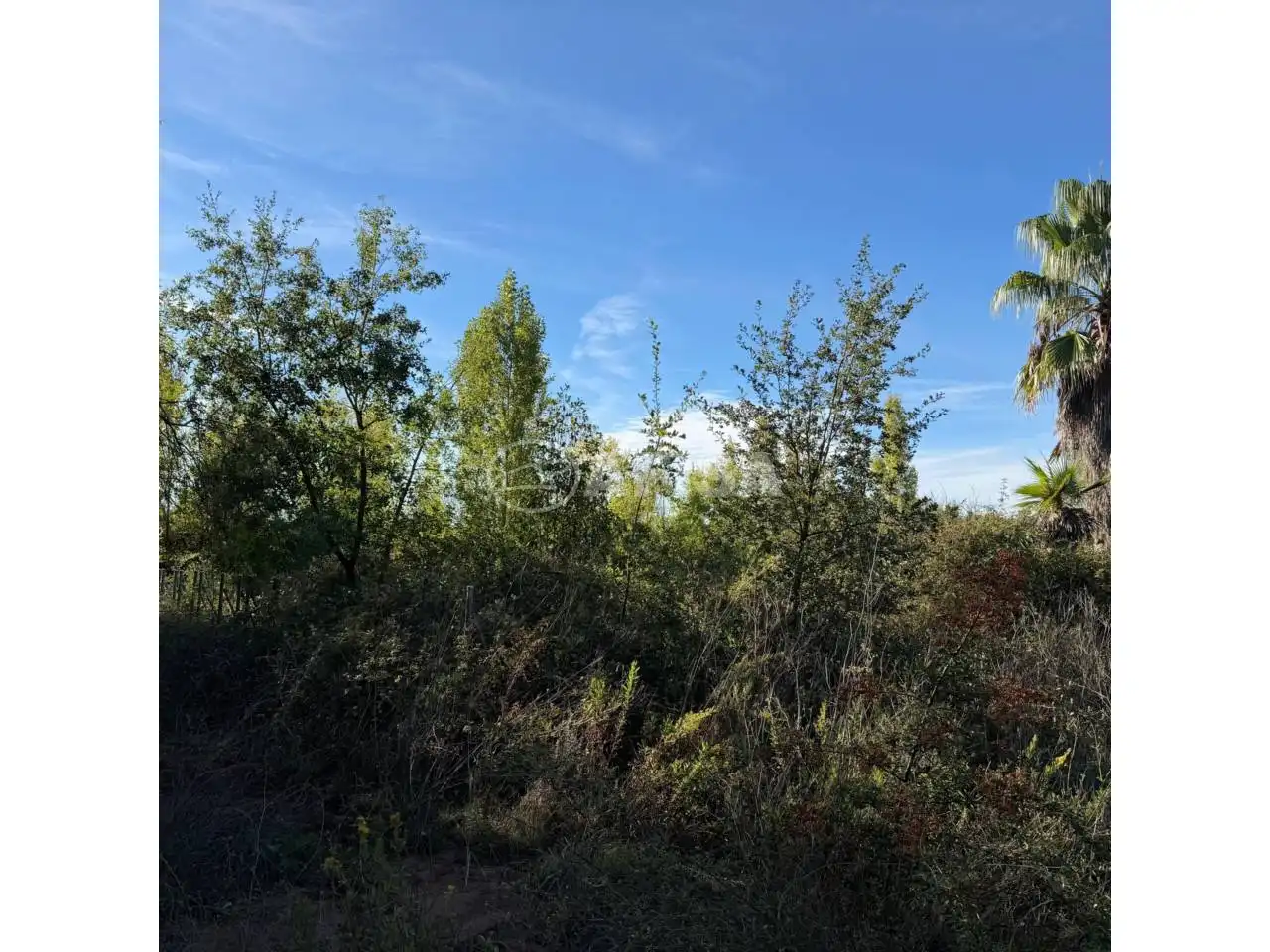 Terreno en venta en Cardedeu