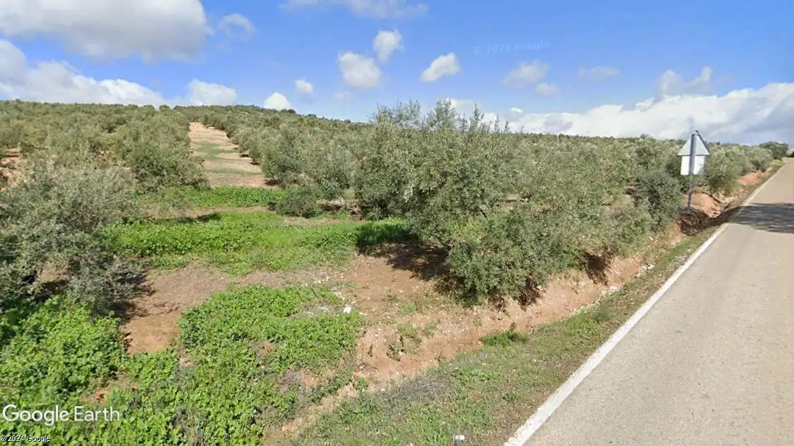 Terreni e lotti in vendita a Navas de San Juan, imagen 4