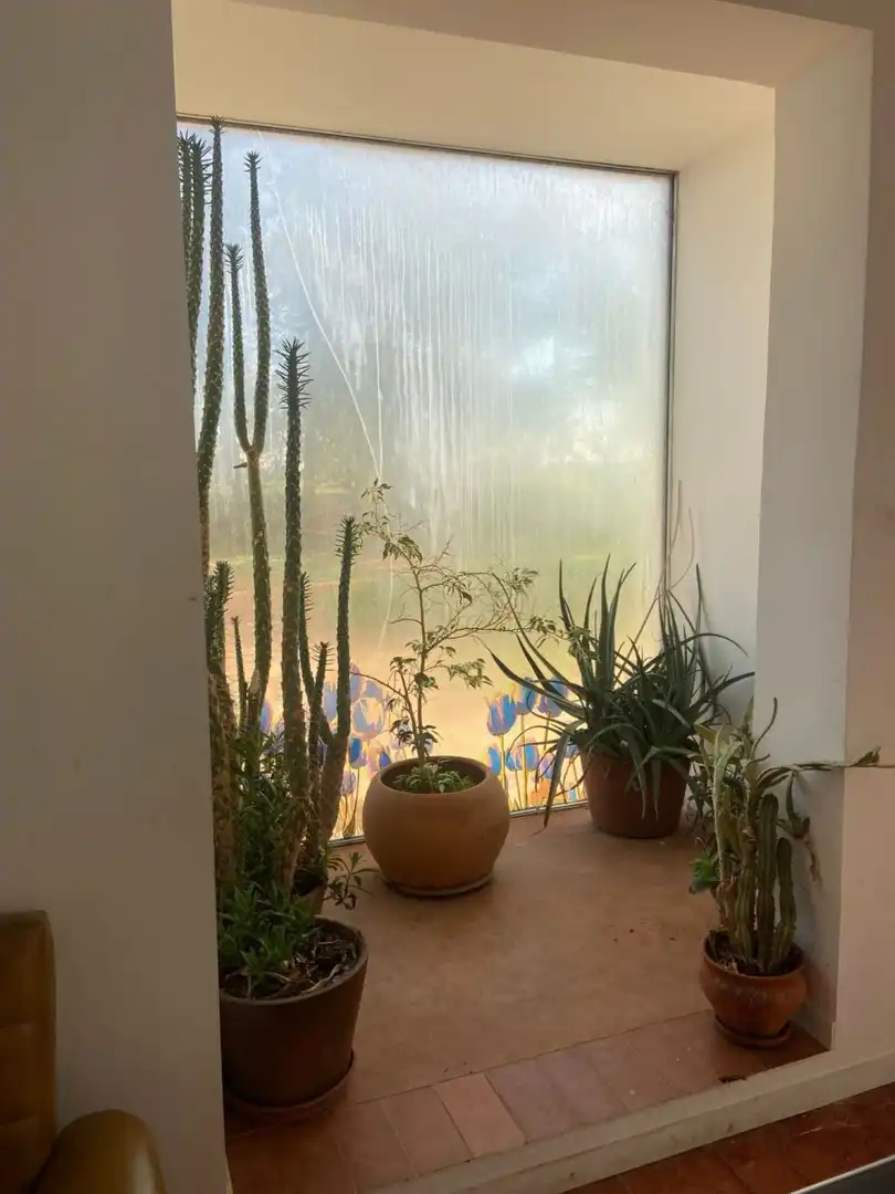 Jardín de Casa o chalet en venta en Almagro con Aire acondicionado, Calefacción y Jardín privado