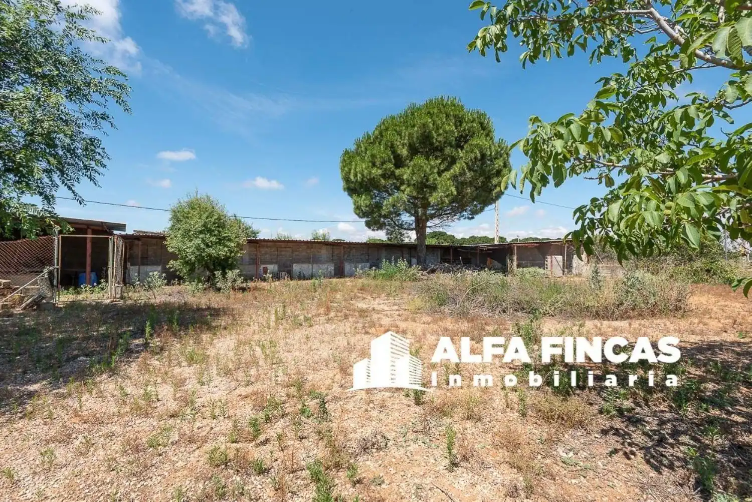 Casa o chalet en venta en Parcela 171 Poligono 33, San Clemente