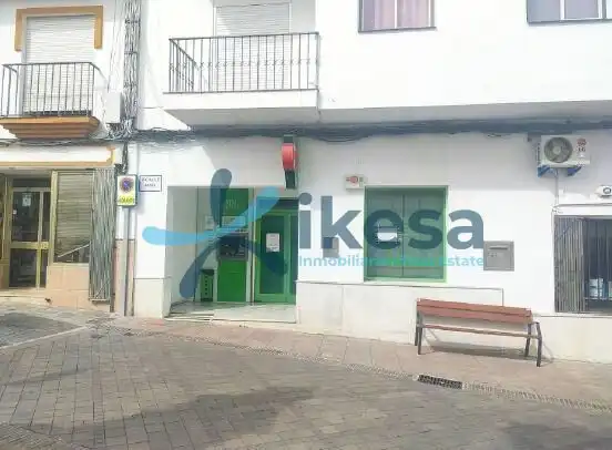Business premises for sale in Manilva Pueblo