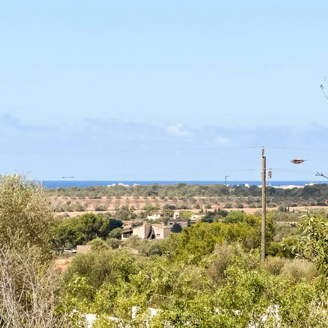 Wohnbaugrundstück zum Verkauf in Ses Salines Poble, imagen 15
