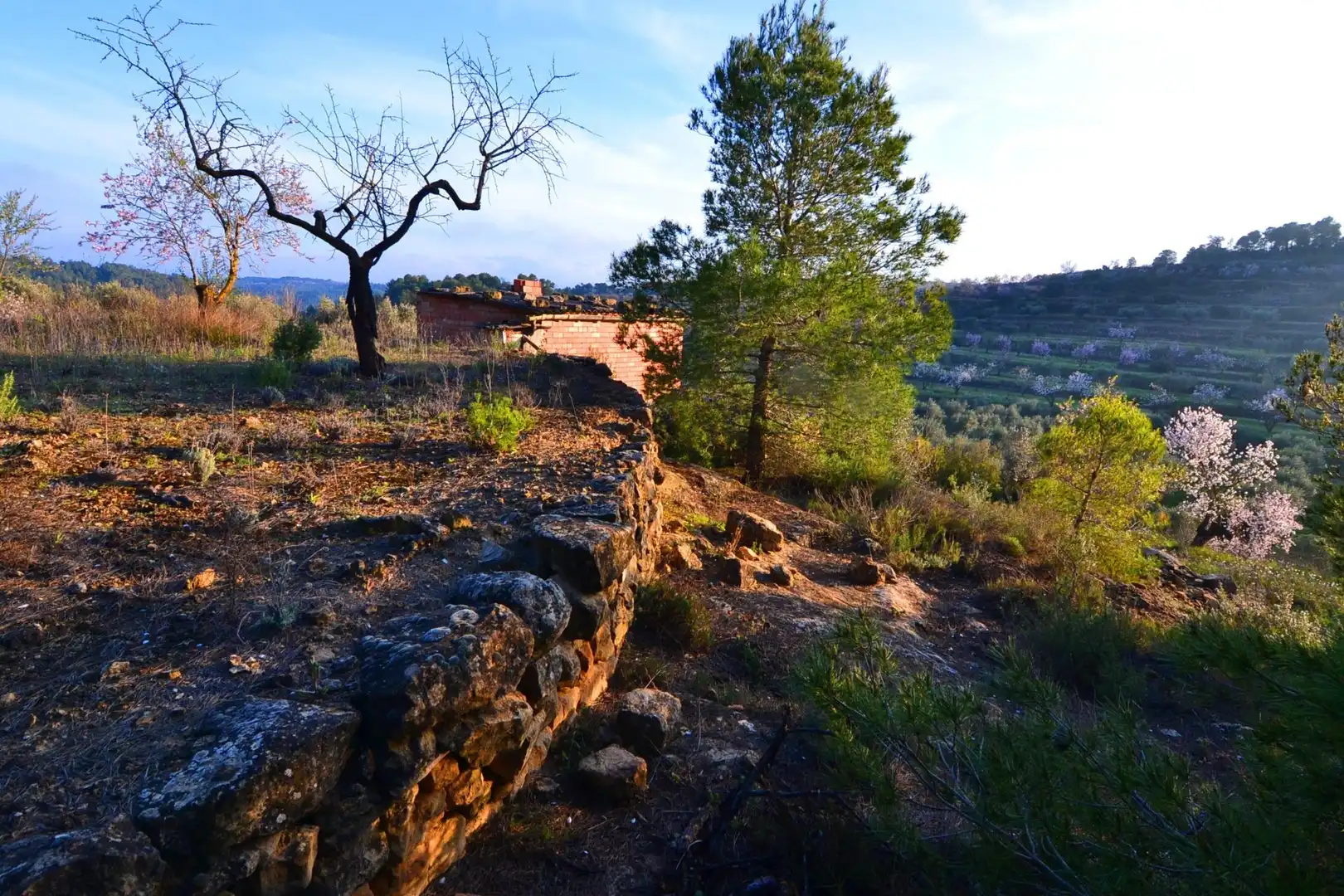 Rural land for sale in Corbera d'Ebre, imagen 58