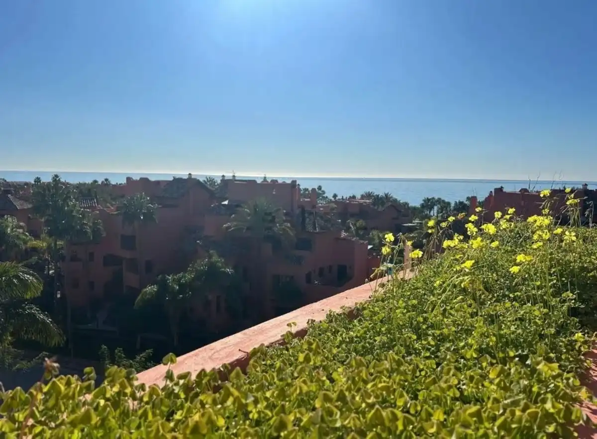 Vista exterior de Apartament en venda en Estepona amb Terrassa, Traster i Moblat