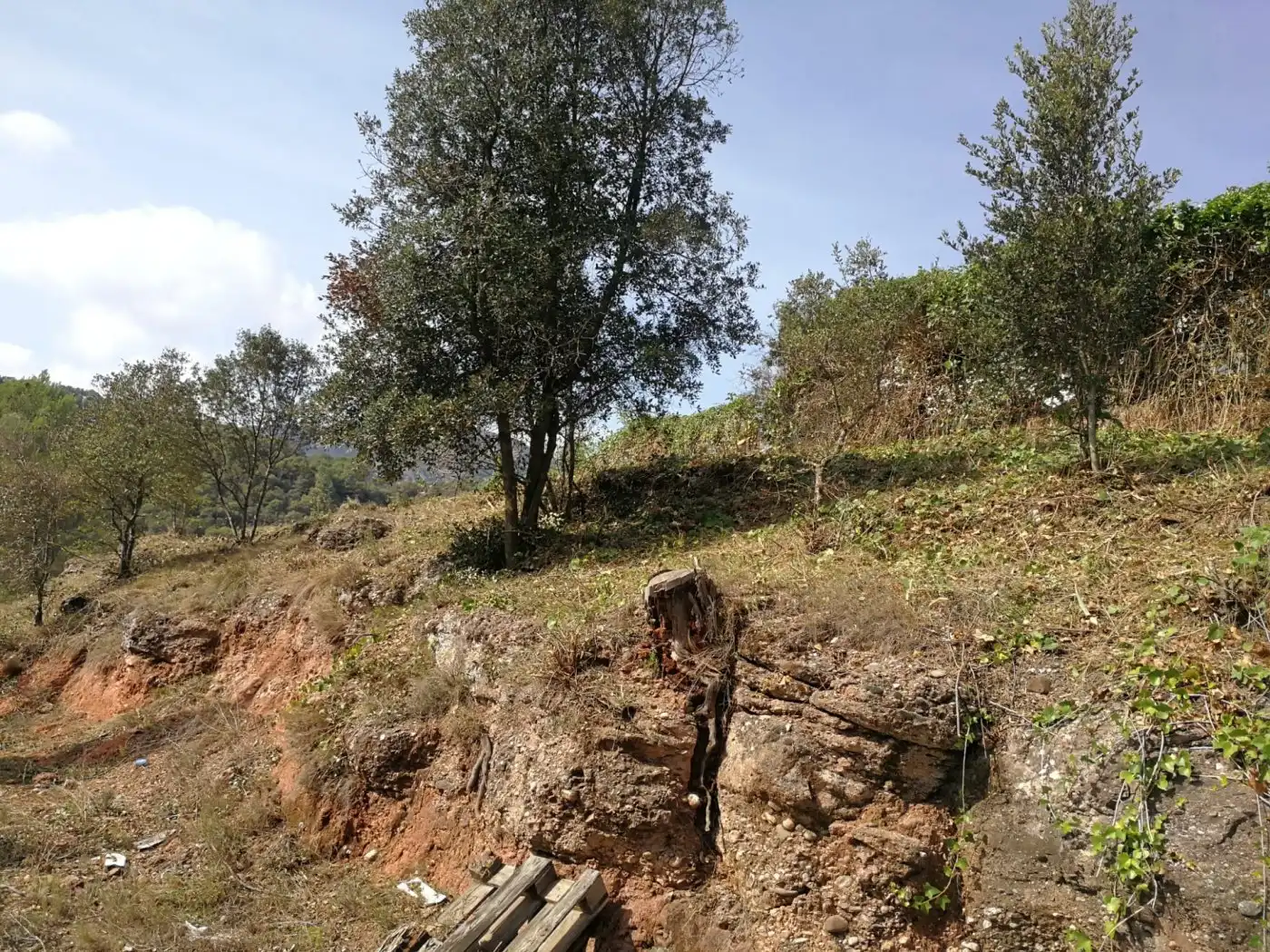 Residential land for sale in Calle Santa Agnes, imagen 10