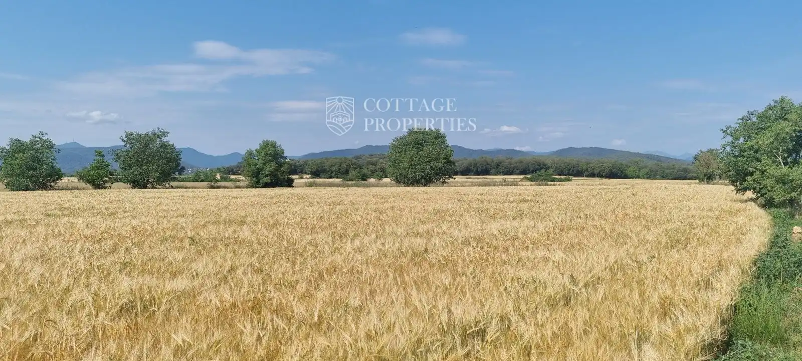 Finca rústica en venta en Serinyà