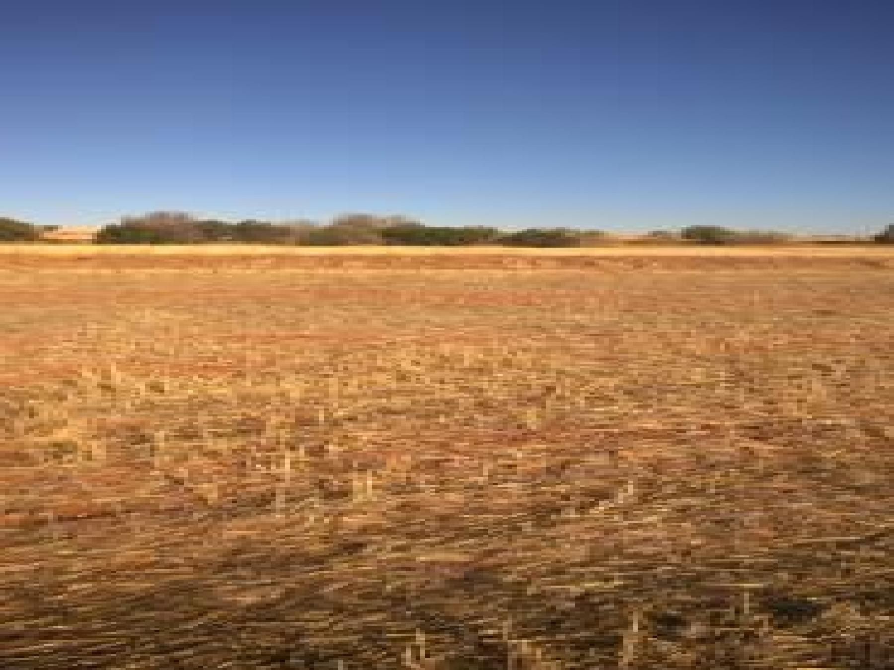 Residential for sale in Ciudad Real Capital