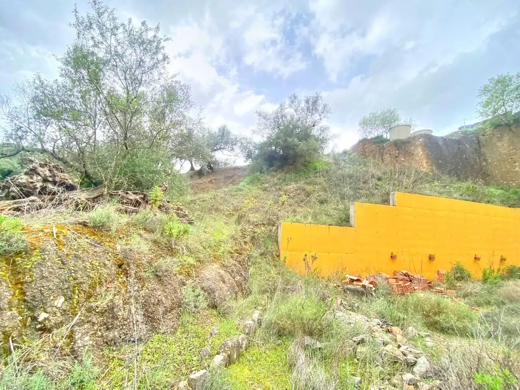 Casa rústica con jardín en venta en Colmenar, imagen 32