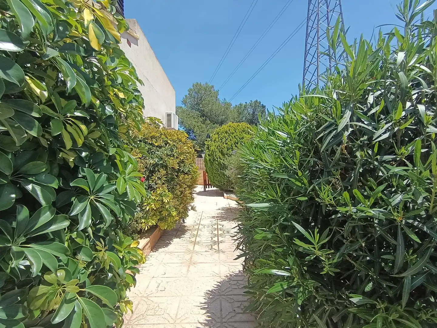 Haus mit Pool zum Verkauf in La Alberca, imagen 12