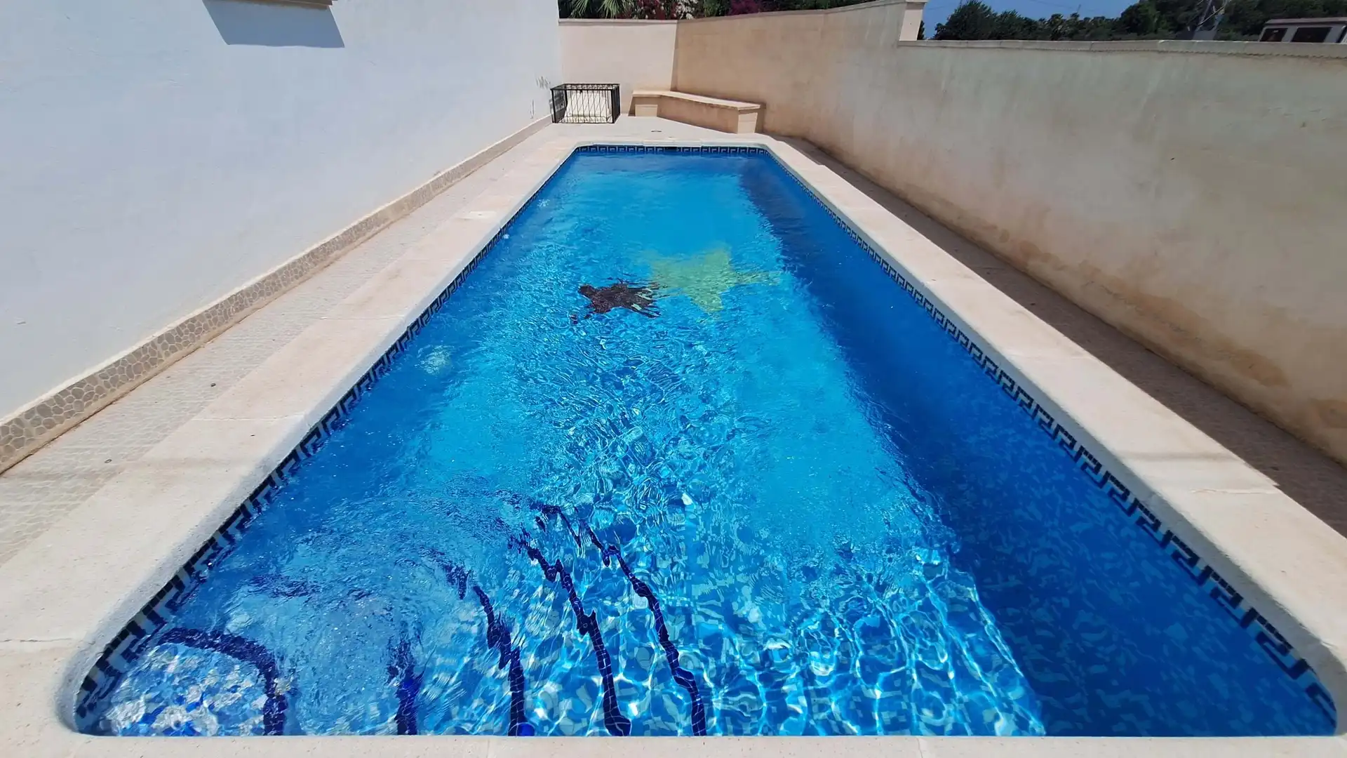 Swimming pool of Flat for sale in Daya Nueva  with Terrace, Swimming Pool and Balcony
