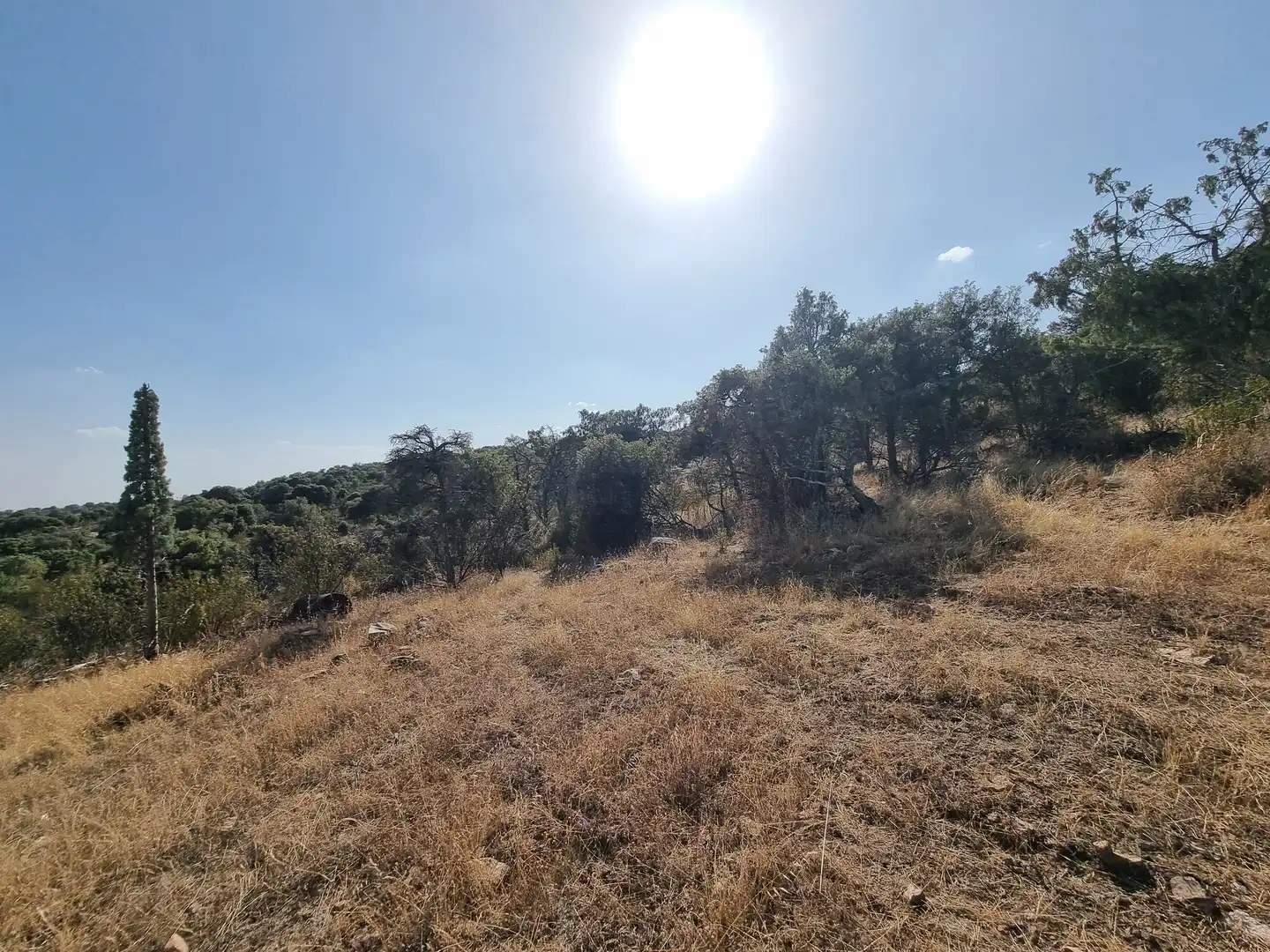 Land for sale in Colmenar Viejo