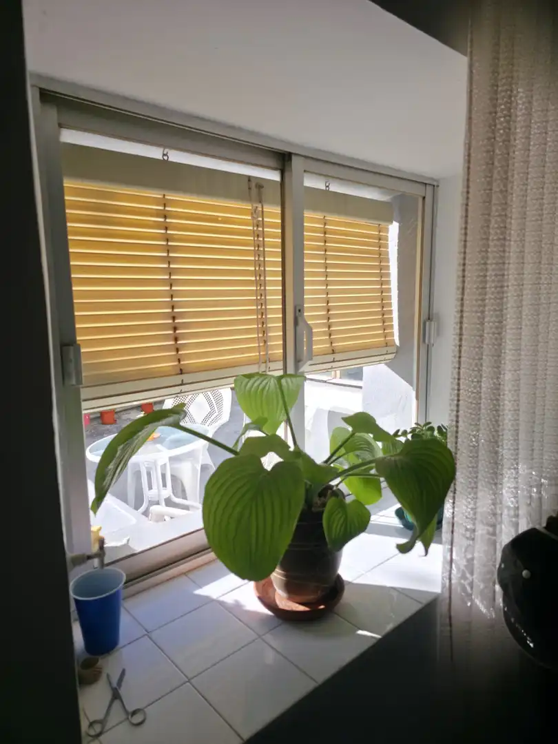 Terrassa de Casa o xalet en venda en Herrera de Pisuerga amb Calefacció, Parquet i Traster