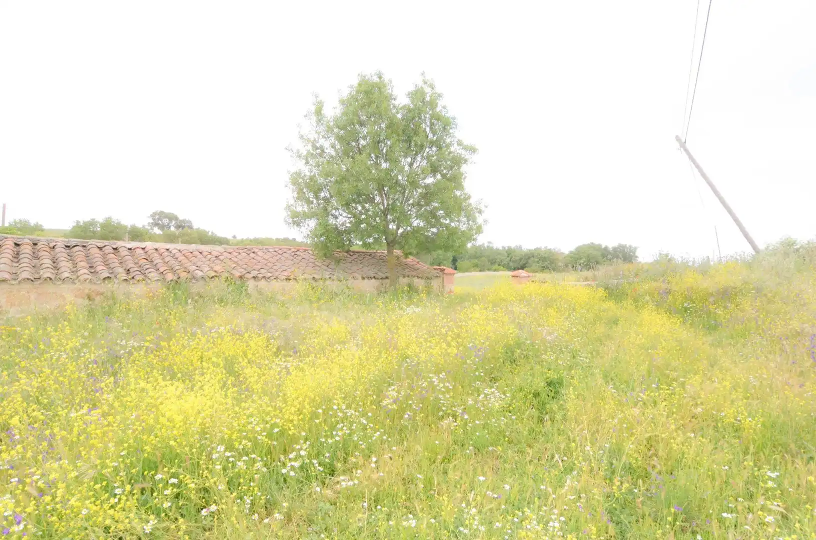 Residencial en venda en Doñinos de Salamanca